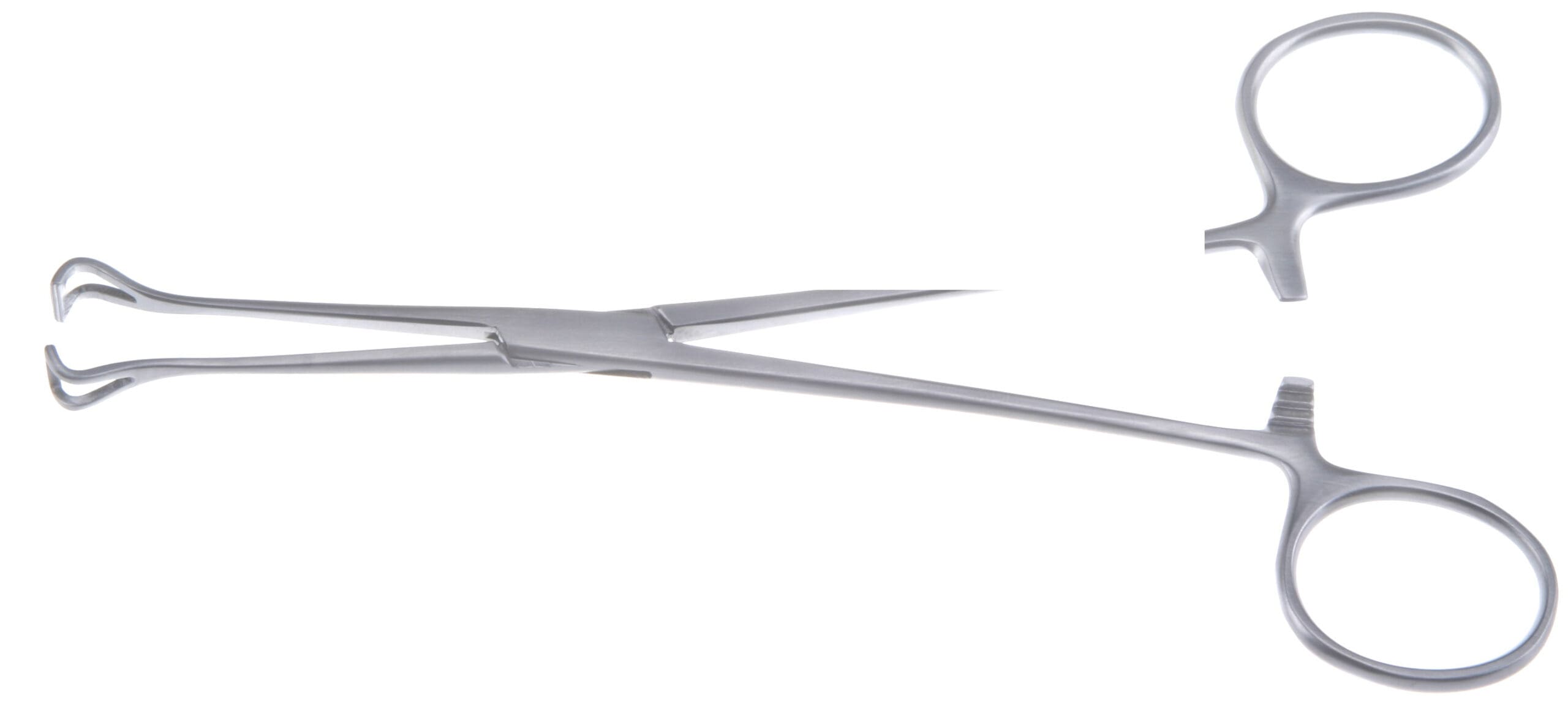 5 1/4" Petite Point Babcock Forceps - 6mm jaw - Image 2