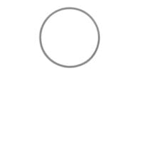 Flieringa Scleral Fixation Rings - 11mm