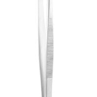 8" Tissue Forceps - 2 x 3