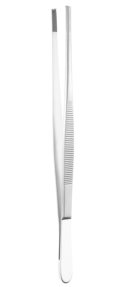 8" Tissue Forceps - 2 x 3