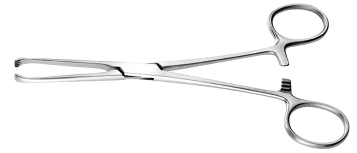 6" Allis Tissue Forceps - 4x5 teeth - Image 2