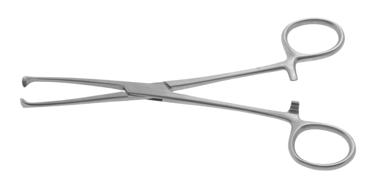 6" Allis Tissue Forceps - 5x6 teeth - Image 2