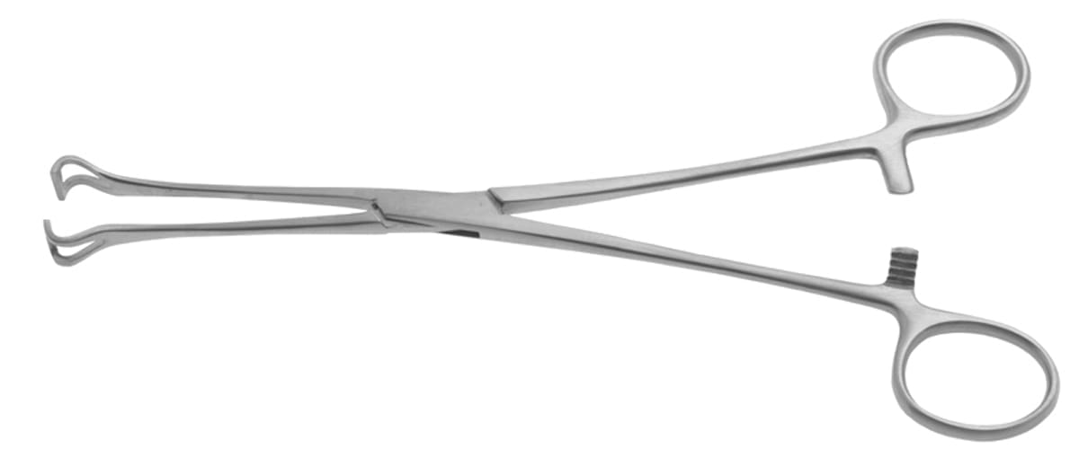 8" Babcock Tissue Forceps - 1/2" wide - Image 2