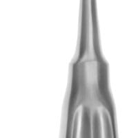8" Semb Rasp - slightly curved round blades