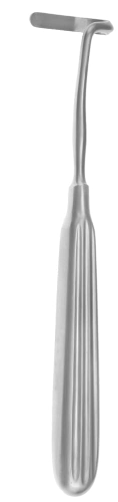 6" Doyen Rib Rasp - infant right - Image 2
