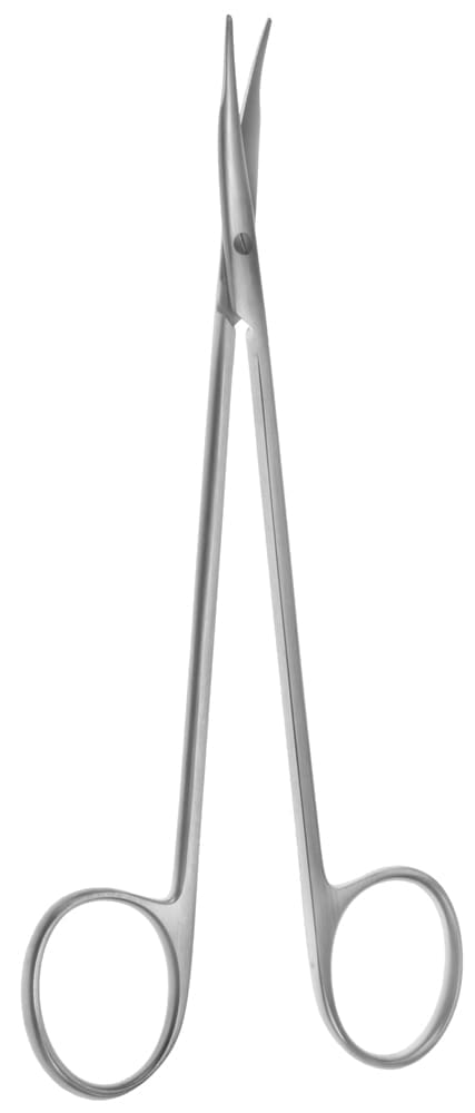 6" Reynolds Dissector Scissors - slightly curved blades plain - Image 3