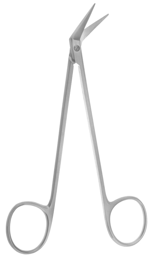 5 1/2" Mattox-Potts Scissors - angled 45° - Image 2