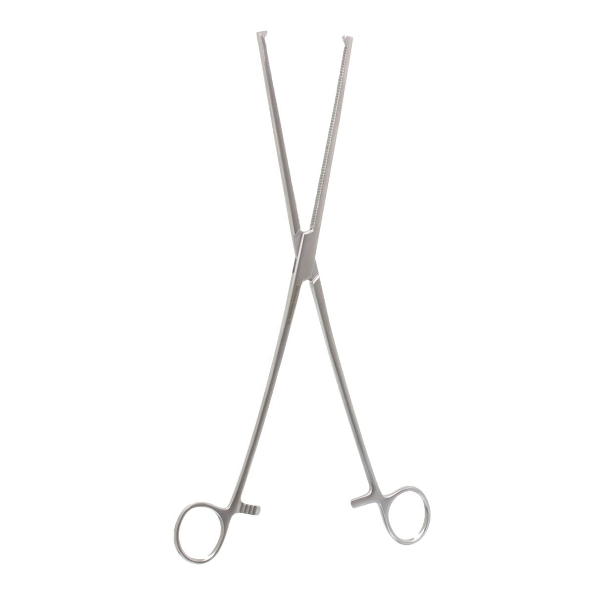 12" Roch-Ochs Forceps - straight - Image 3