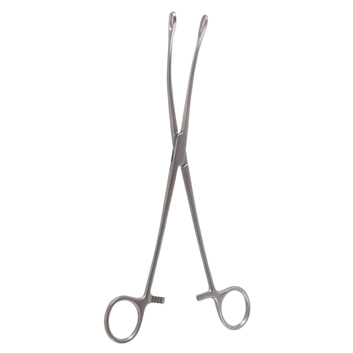 9 1/2" Bergman-Forester Sponge Forceps - curved