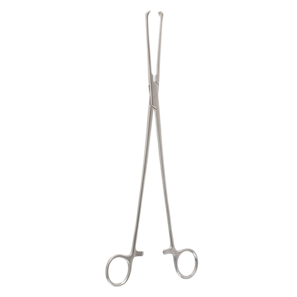 12" Allis Tissue Forceps - 5x6