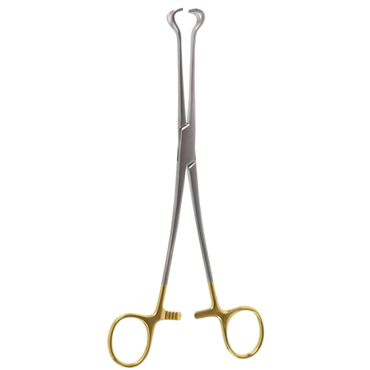 8" Babcock Forceps - "GG"