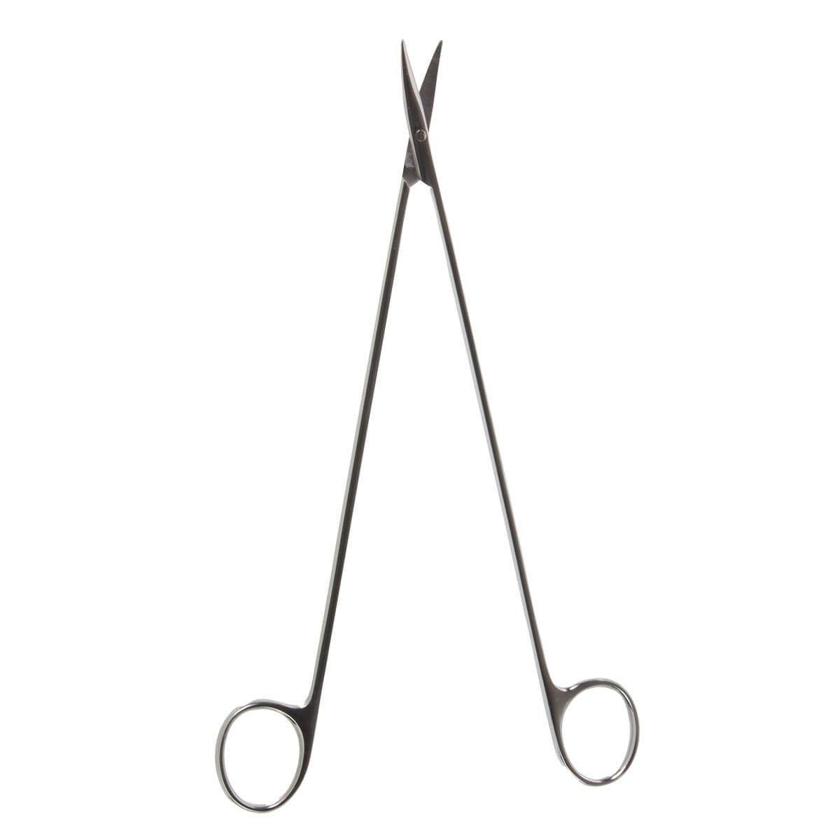 10" Lincoln Vascular Scissors - very delicate round blades