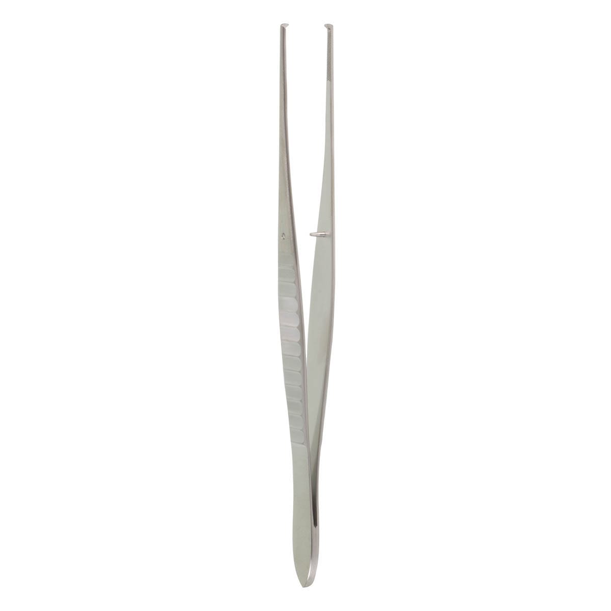 6" Gilles Tissue Forceps - 1x2