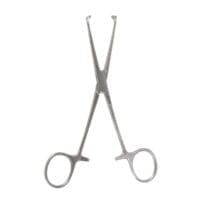 6" Allis Tissue Forceps - 5x6 teeth