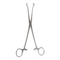 8" Babcock Tissue Forceps - 1/2" wide