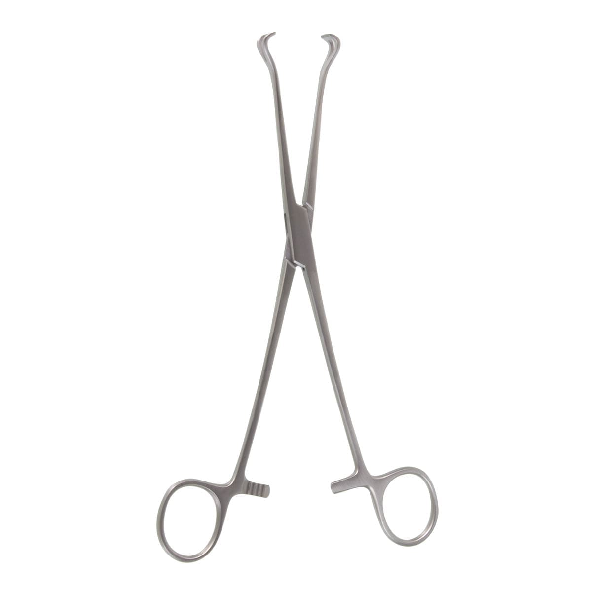 8" Babcock Tissue Forceps - 1/2" wide