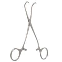 6" Castaneda Clamp - curved shank large