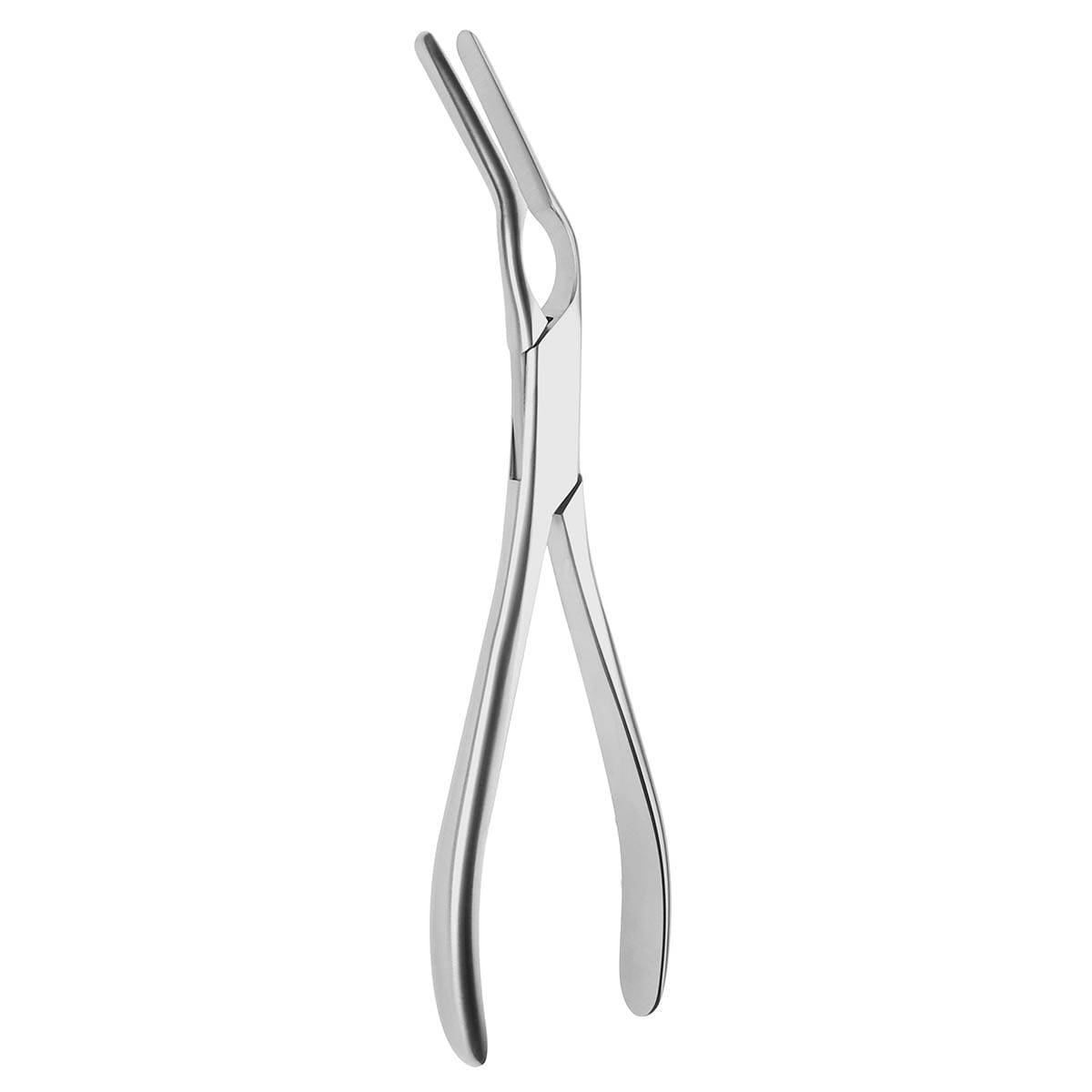 Asch Sept Straightening Forceps heavy pattern