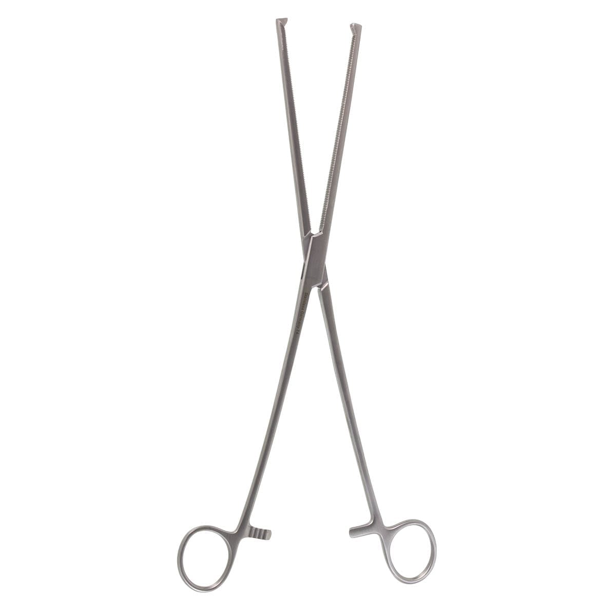 12" Roch-Ochs Forceps - straight