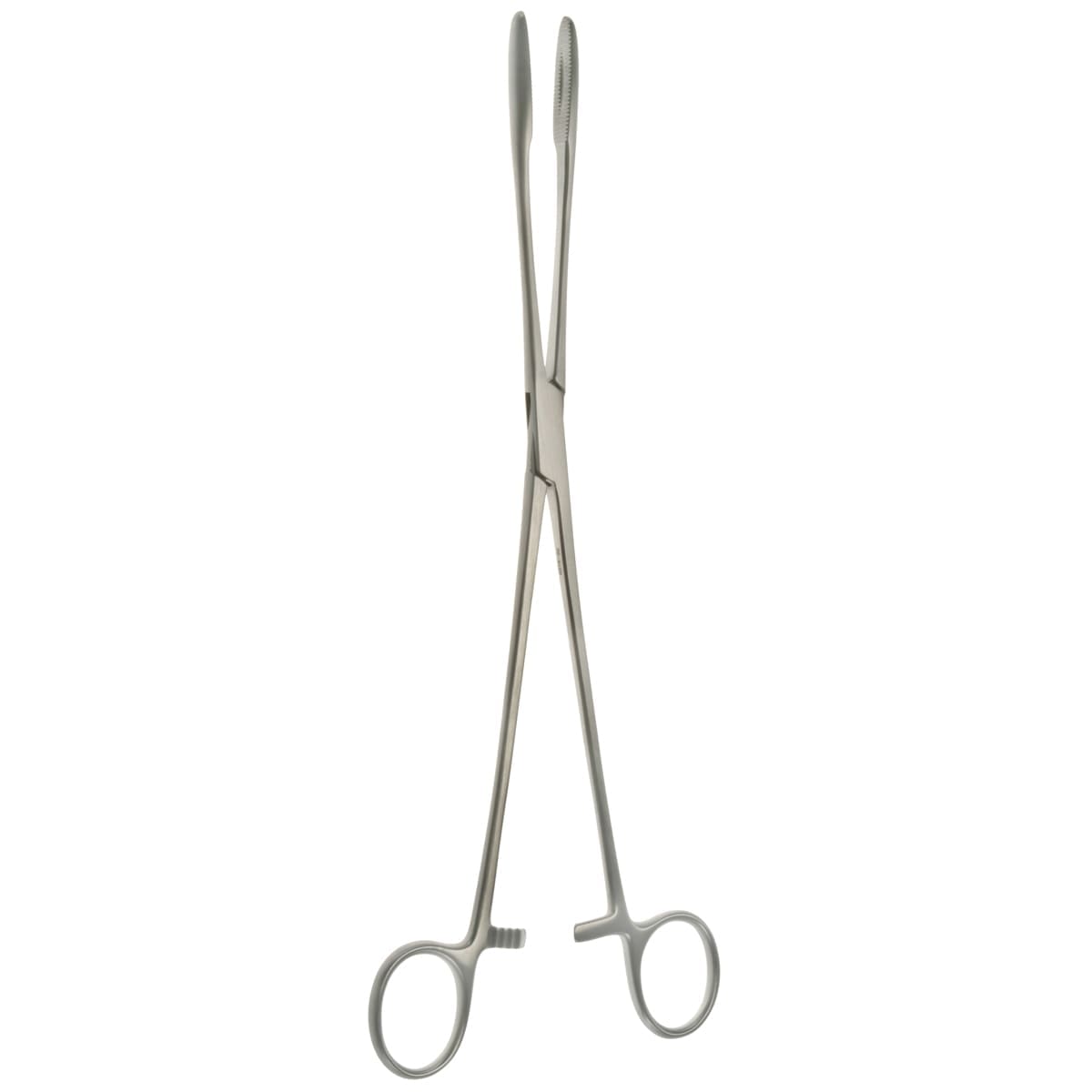 10 1/4" Maier Polypus Forceps - straight