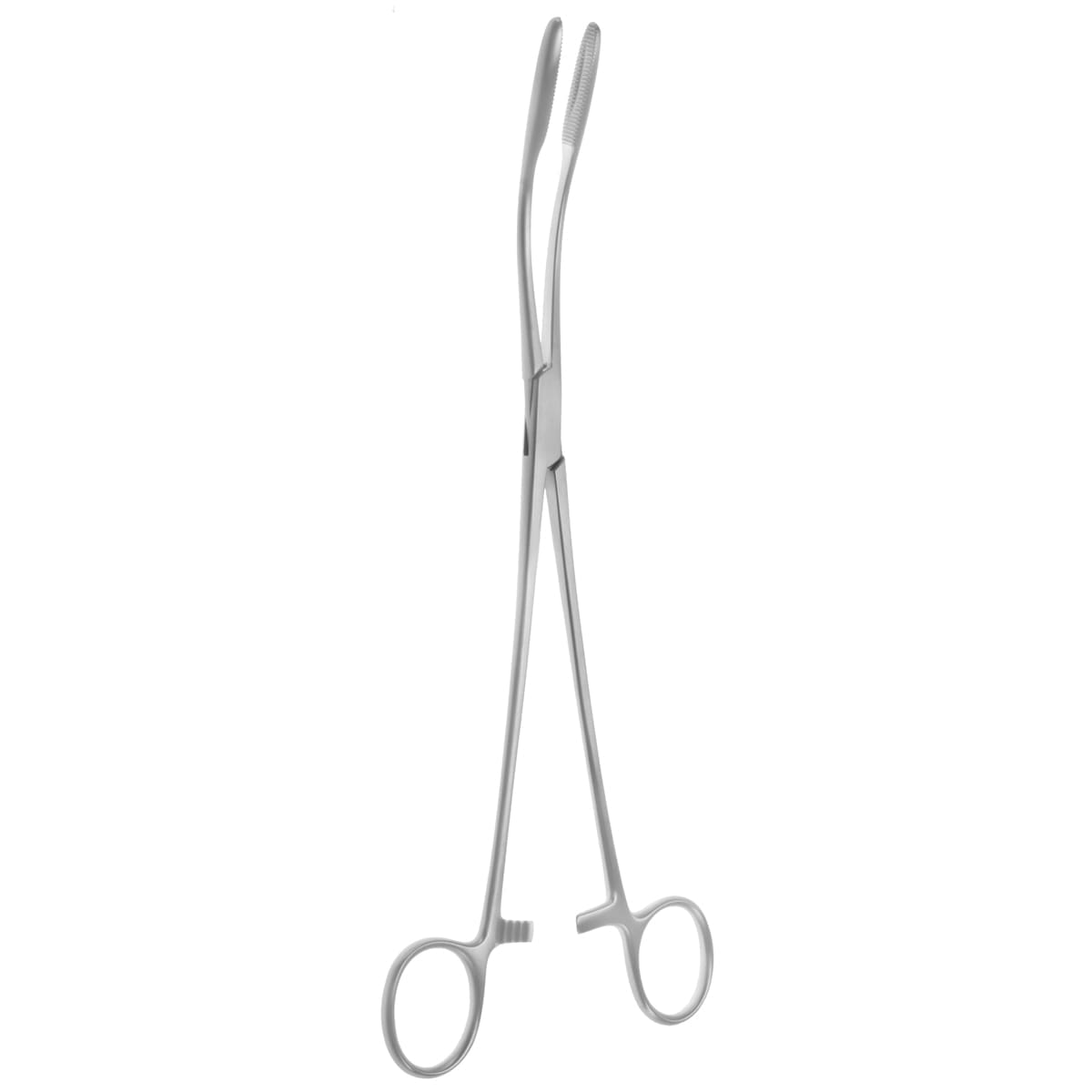 10 1/4" Maier Polypus Forceps - curved