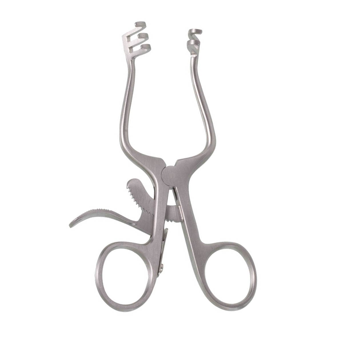 4" Weitlaner Retractor - blunt prng 2x3
