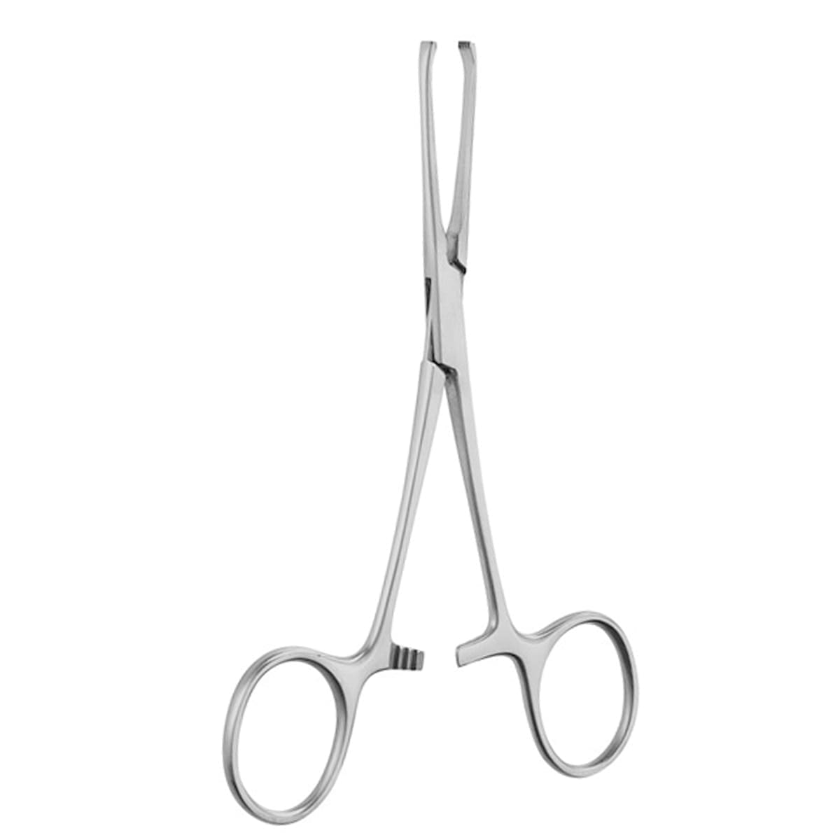 5 1/2" Allis Tissue Forceps - 3x4 teeth