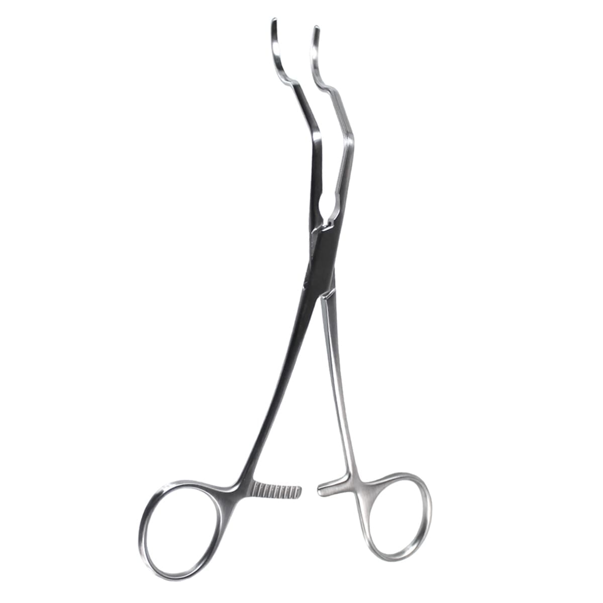 6 1/4" Gregory Profunda Clamp - med