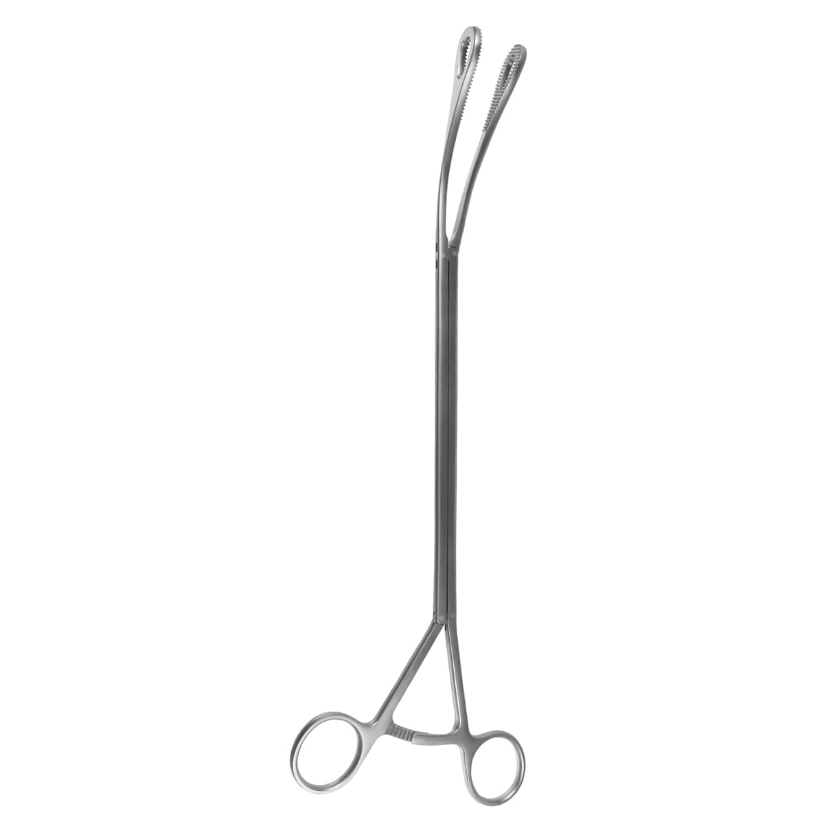 13-1/2" VATS Foerster Forceps - 10mm Shaft 20mm Oval Jaws
