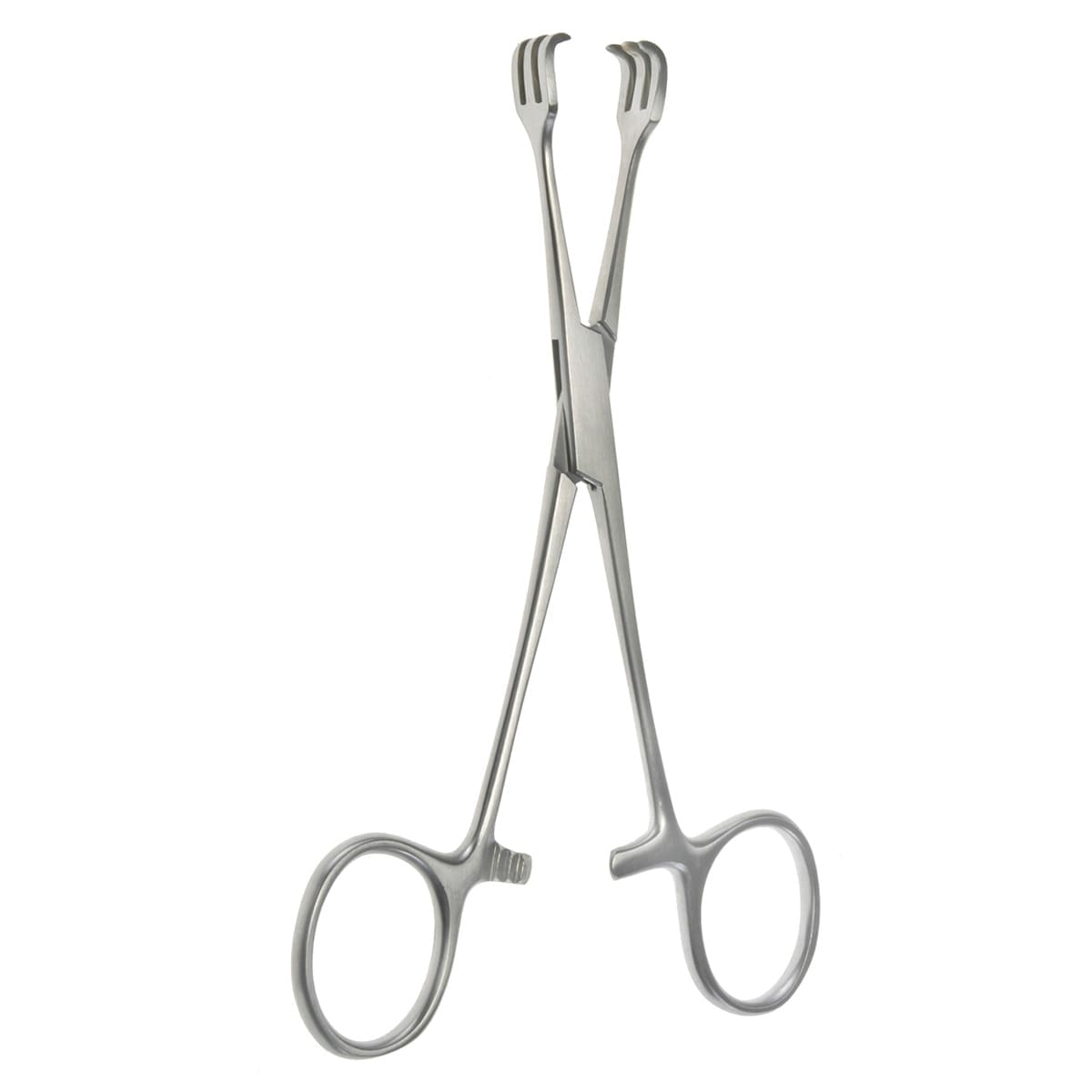6" ( Triple Hook ) Lahey Traction Forceps 3x3 prong