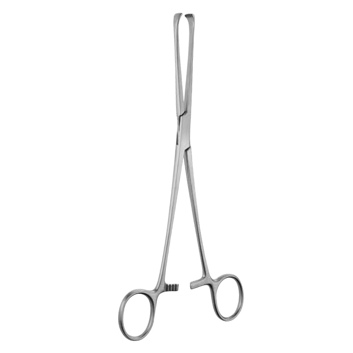 8" Thoms Allis Forceps - 6x7 teeth