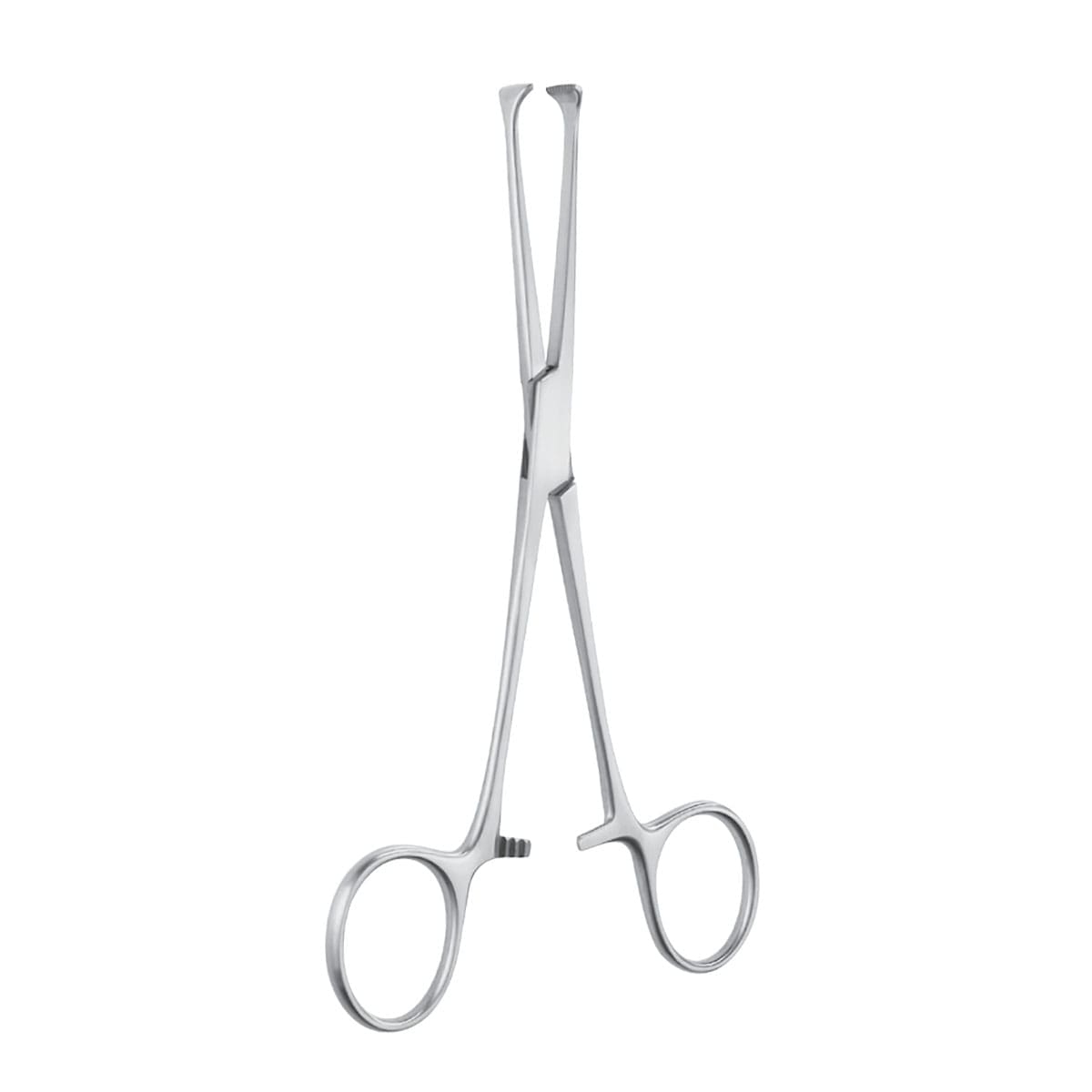 6" Allis Adair Tissue Forceps - 9x10