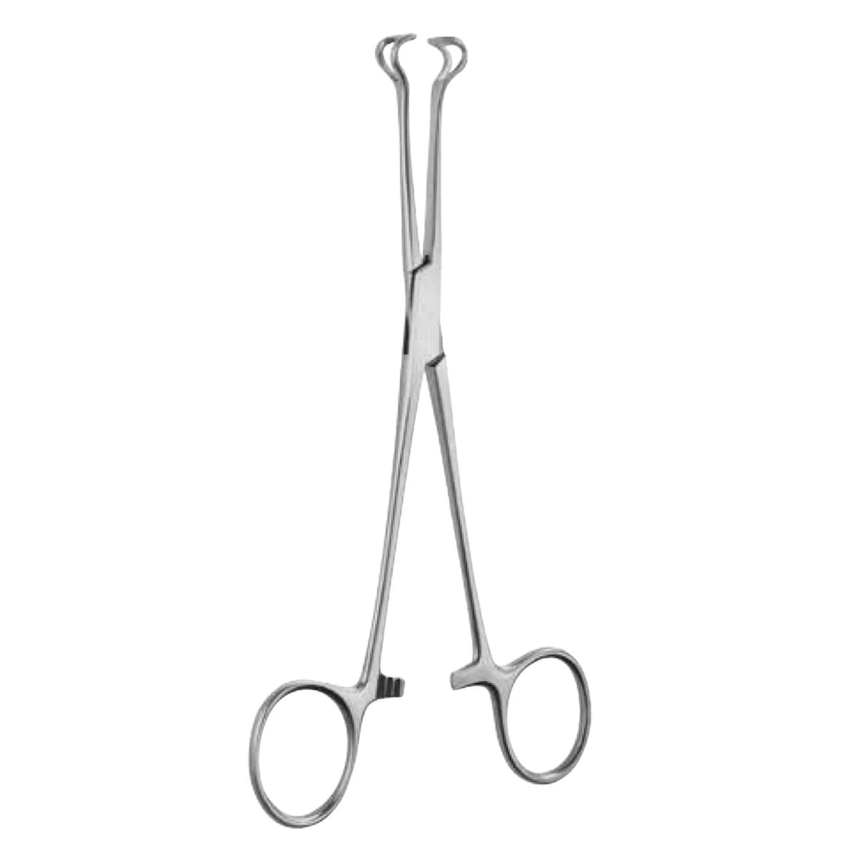 9" Babcock Tissue Forceps