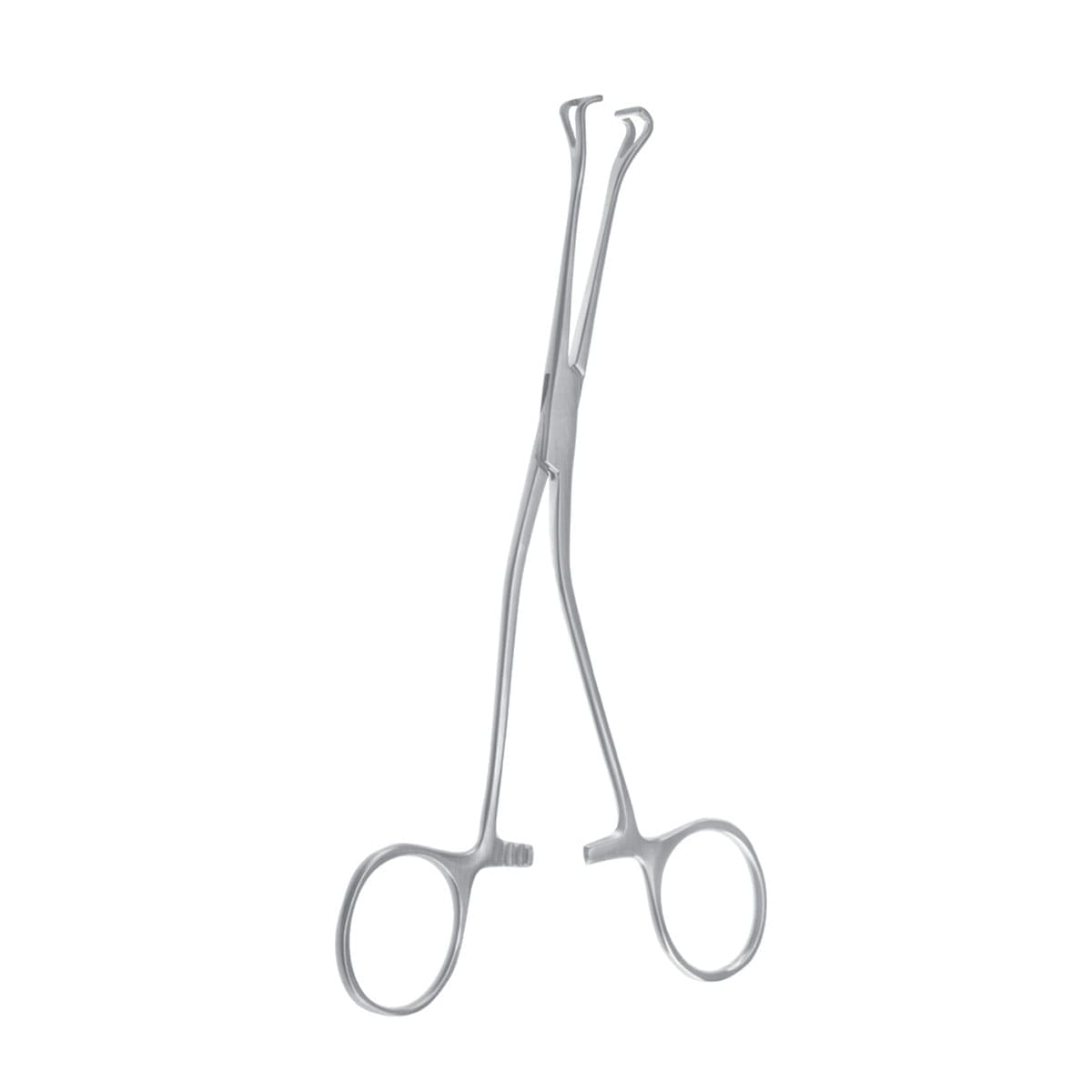 Allis-Babcock Forceps - 8mm jaw angled to side 1/4"