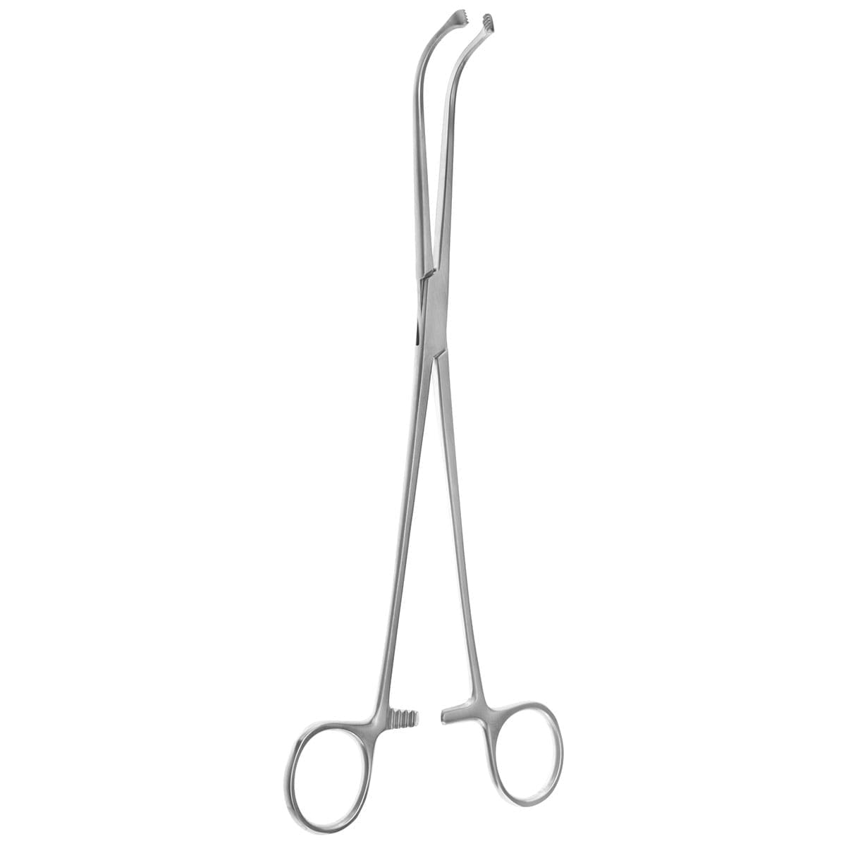 9 1/2" (Revuelta-Garcia) Allis Forceps - curved