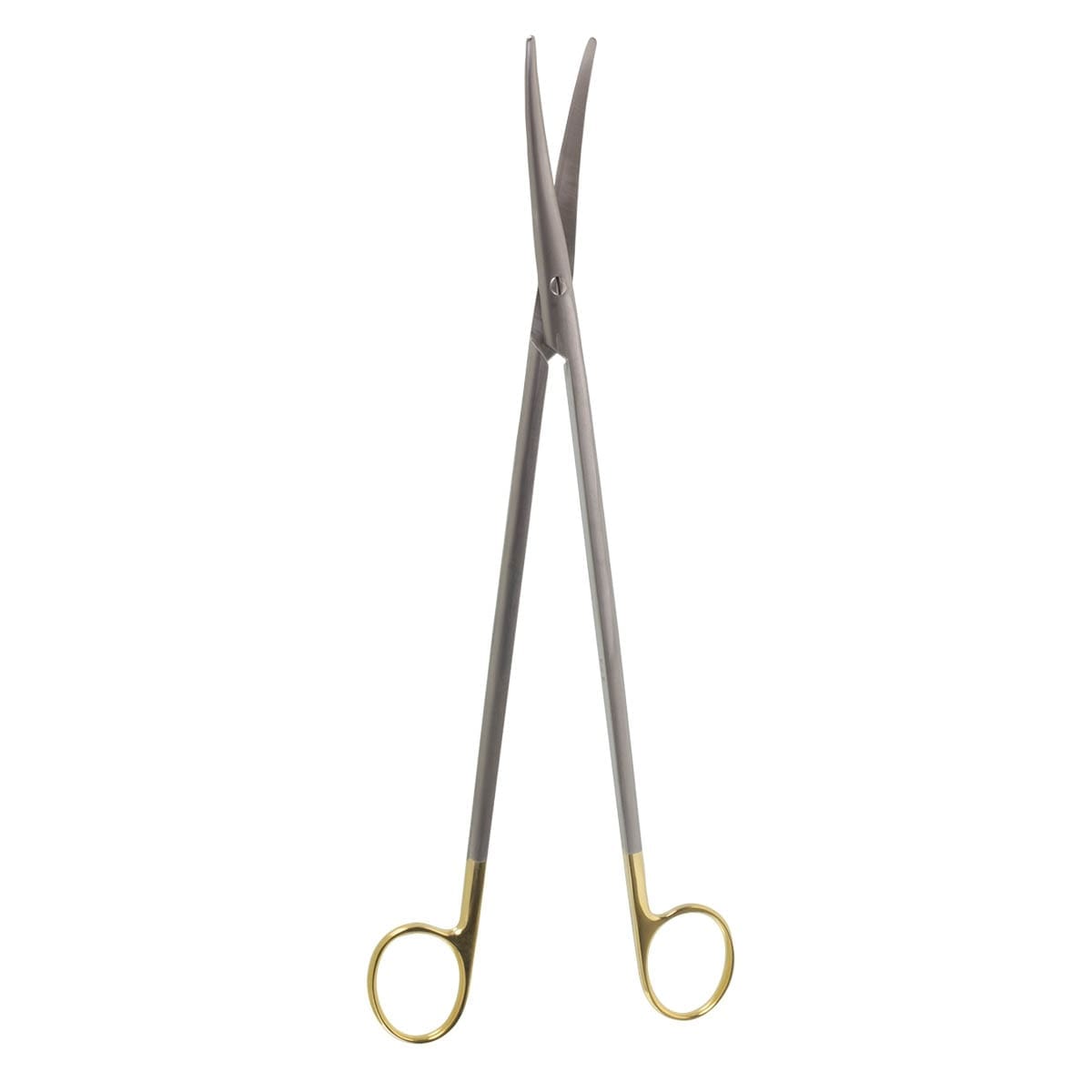 11" Nelson "GG" Scissors - curved delicate blades curved slim