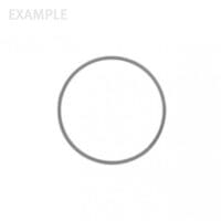 Flieringa Scleral Fixation Rings - 13mm