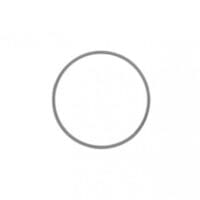 Flieringa Scleral Fixation Rings - 21mm
