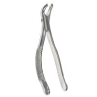 Oral Molar Forceps - Lower Anterior #151AS